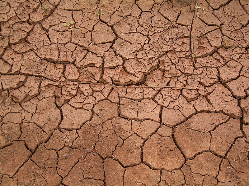 800px-Dried_mud_(La_Fajana)_03_ies